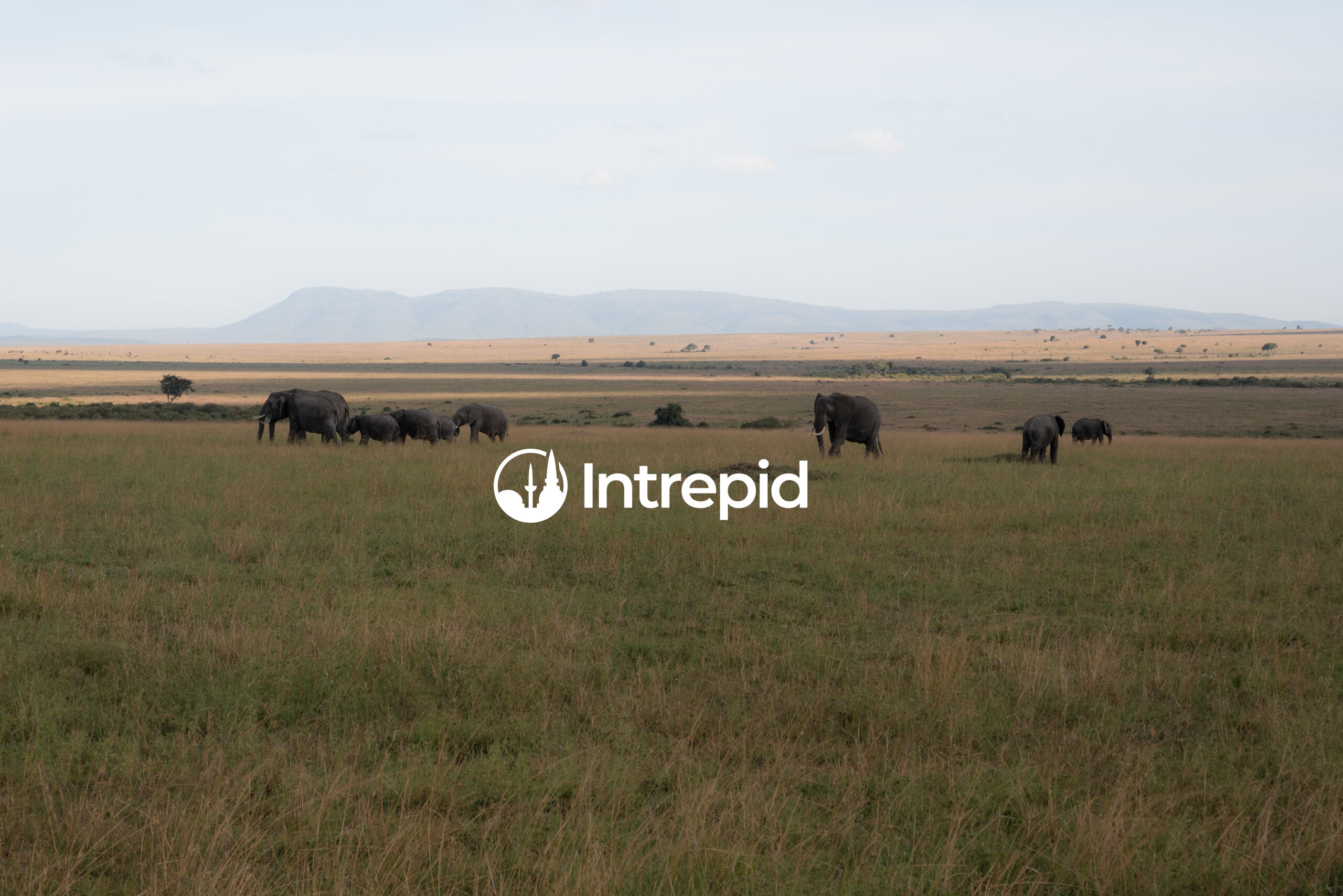 Short film for Intrepid Travel to showcase their East Africa Highlights trip