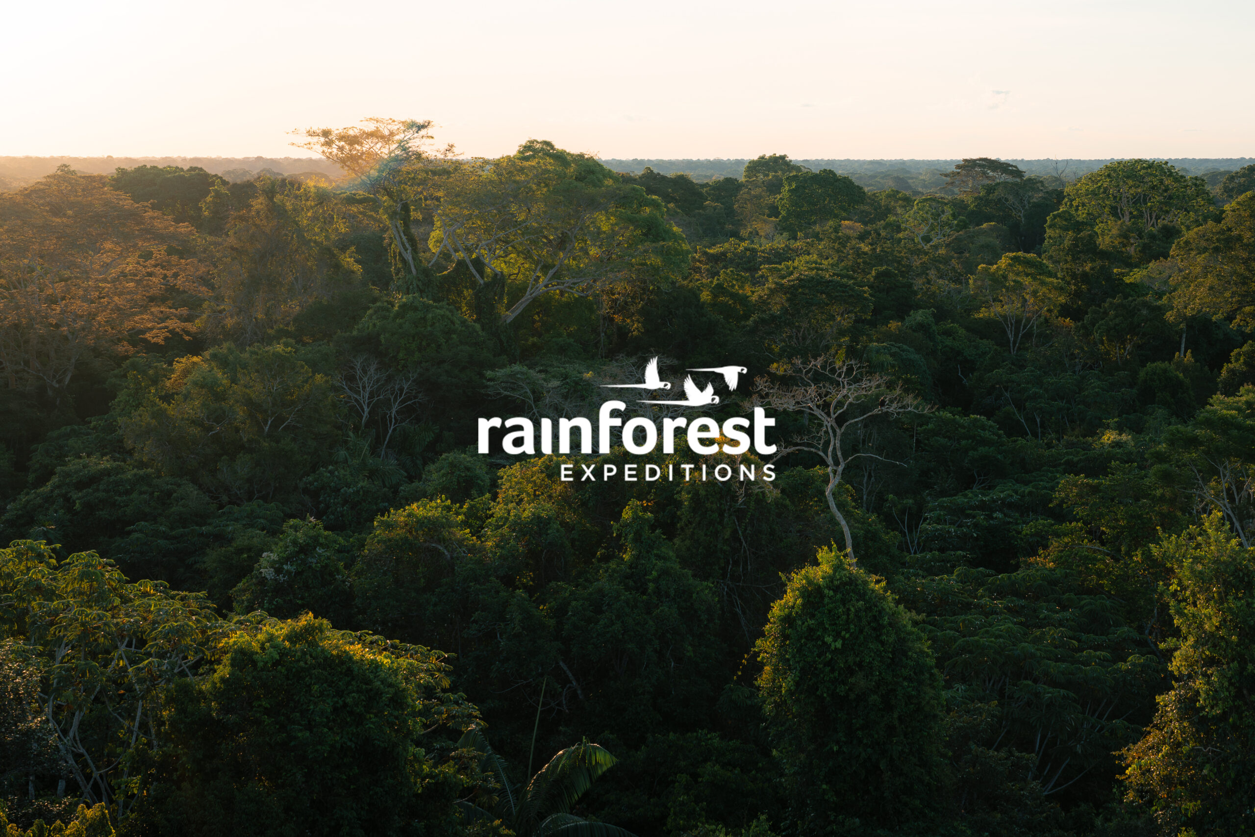 Short film for Rainforest Expeditions to showcase Posada Amazonas Lodge